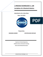 Chemical Process Technology Ii - Lab Process Description of A Chemical Industry