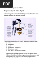 Membuat Gubahan Bunga Daripada Bahan Terbuang2011