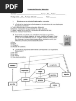 Prueba de Ciencias Naturales Sexto Cadenas Alimentarias