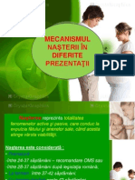 Mecanismul Nsterii in Diferite Prezentatii