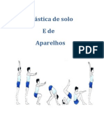 Ginástica Solo e Aparelhos