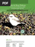 Guia Boas Praticas - RA