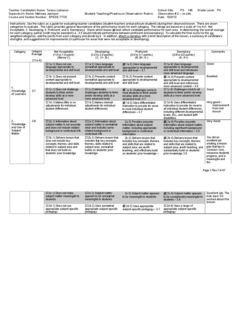 Observational essay rubric image