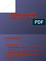 Líquidos Intra e Extracelulares