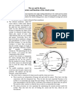 The Eye and Its Diseases