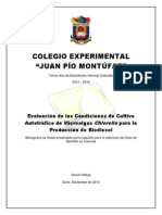 Colegio Experimental 1
