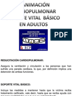 RCP: Resucitación Cardiopulmonar (máx