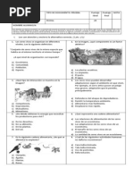 Prueba Ecosistema Nov 2013