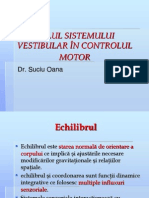 C17 Rolul Sistemului Vestibular in Controlul Motor