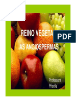 apresentacao_angiosperma