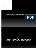 1 - Y 2 - Anatomia