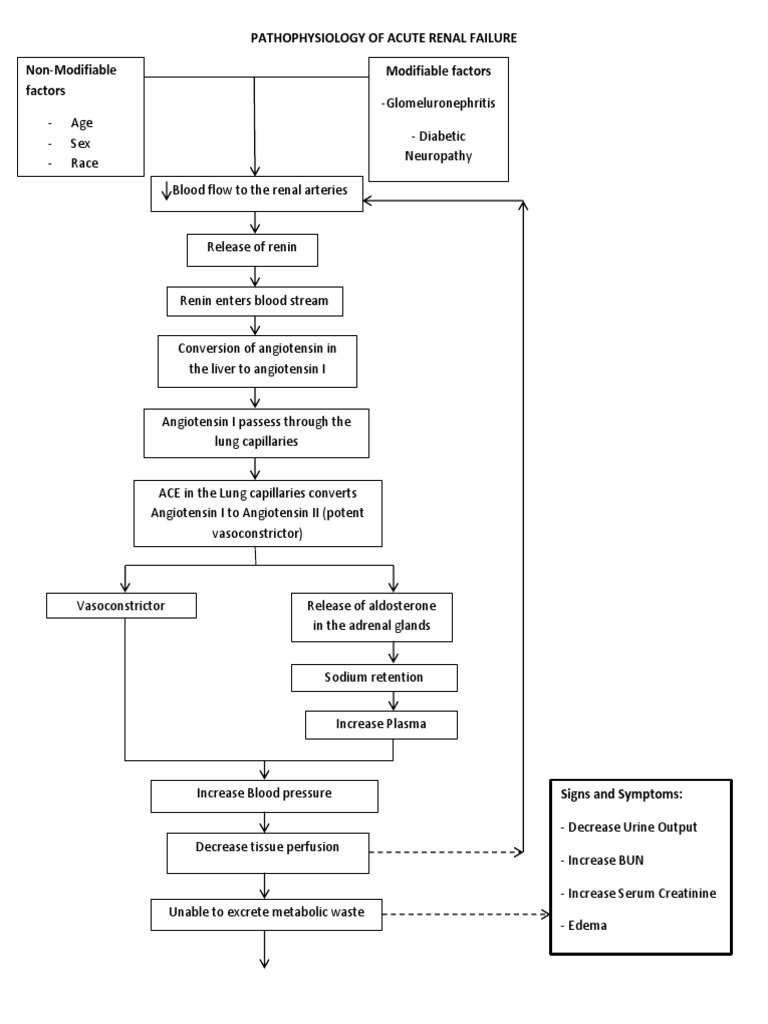 Pathophysiology of Acute Renal Failure | PDF