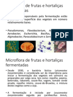 Microflora de Frutas e Hortaliças Fermentadas