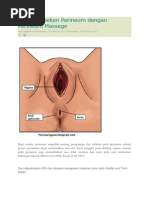 Download Perineum Massage by Dwi Putri C SN185293897 doc pdf
