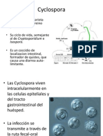 Cyclos Por A