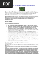 Download Ciri-ciri Reproduksi dan Klasifikasi Tumbuhan Lumut Bryophyta by Lilik Niko Dwijayanto SN185317709 doc pdf