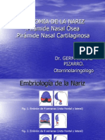 Anatomia de La Nariz