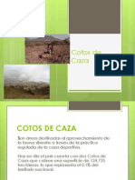 Cotos de Caza en Perú: Áreas protegidas para la fauna silvestre