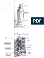 Compression Medulla i Re