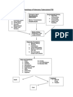 Pathophysiology of Pulmonary Tuberculosis PTB