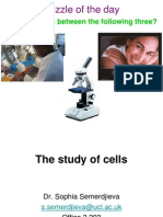The study of cells-2013.ppt