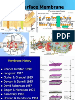 NU Cell membrane Final 2013.ppt