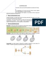 Reproduction PDF