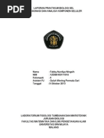 Download Laporan Praktikum Biologi Sel by Febby Nurdiya Navriasa SN185395791 doc pdf