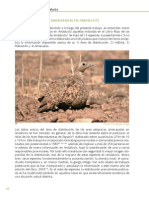 Las Aves Esteparias en Andalucia5 PDF