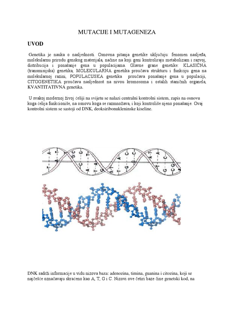 Mutacije I Mutageneza | PDF
