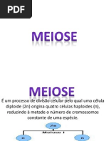 meiose.ppt
