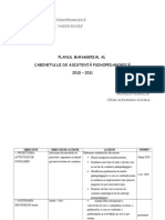 Plan Managerial 2010-2011