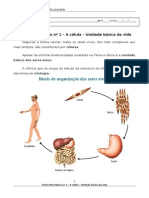 Célula Unidade Vida