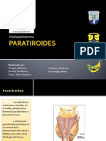 Para Tiro Ides 03