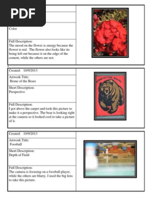photography portfolio