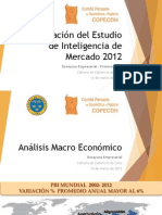 Informacion Copecoh -Ejecutivo 2013