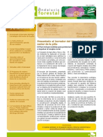 Andalucía Forestal nº 12