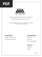 Download A Study on the DISTRIBUTION Channel of Frito by Anuraag Reyan Mahanta SN185481222 doc pdf