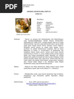 Download Artikel Insecta by Muhammad Rizki SN185490685 doc pdf