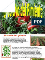 Presentación Pimiento