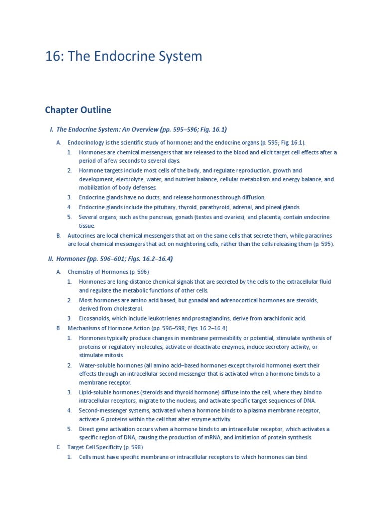 Endocrine Study Guide Endocrine System Adrenal Gland