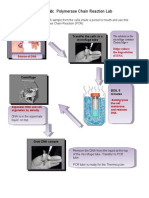 pcr flowchart