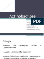 Actinobacilose