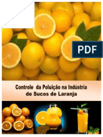 CONTROLE DA POLUIÇÃO NA INDÚSTRIA DE SUCOS DE LARANJA - Viçosa 2011