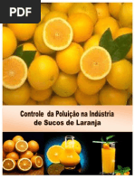 CONTROLE DA POLUIÇÃO NA INDÚSTRIA DE SUCOS DE LARANJA_Viçosa 2011