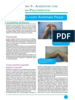 Animais Peconhentos