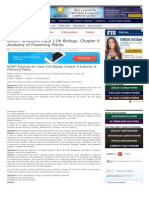 Anatomy of Flowering Plants