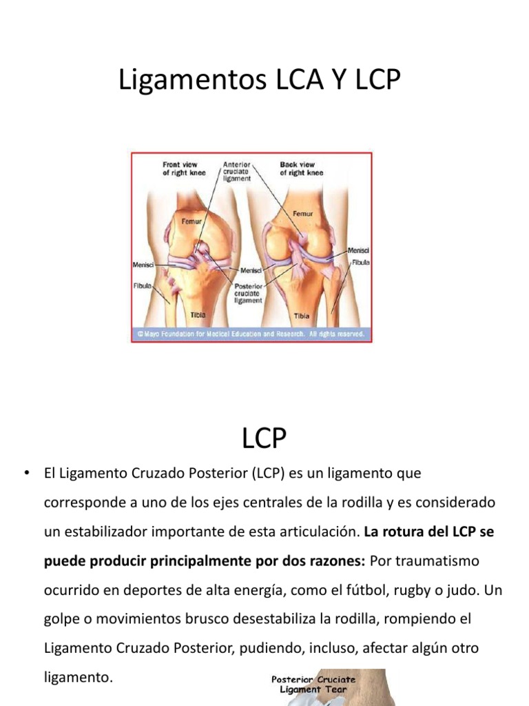 VENDAJE PARA LIGAMENTO CRUZADO POSTERIOR . . . #rodilla #fisioterapia  #kinesiologia #kinesiotape #information #vendas #ayuda #vendajefuncional  #tobillo #fut #dolor #medicina #medicine #menisco ..., image size:768x1024