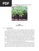 Download Makalah Kultu Tanaman Jati Dengan Media Ms by cornmale SN185624748 doc pdf