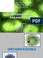 ortomixovirus-paramixovirus